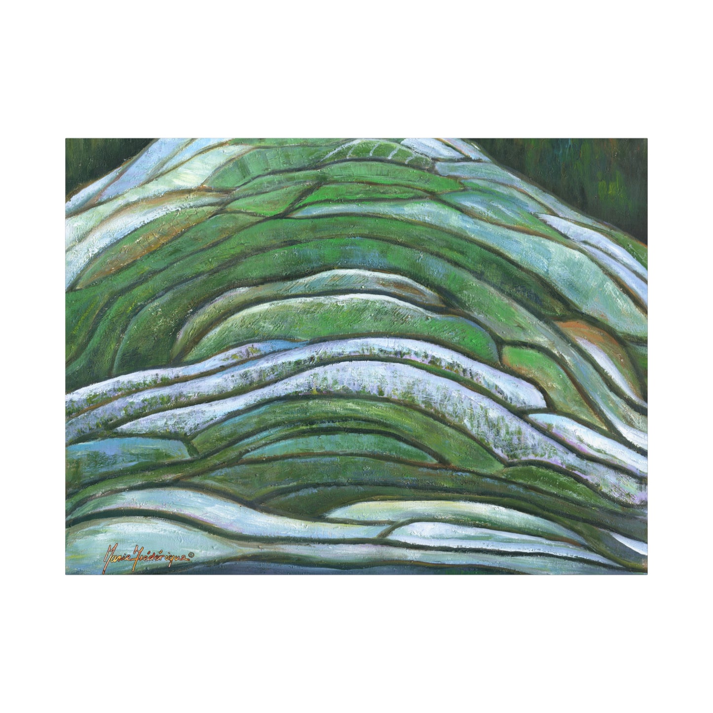 Aerial landscape, Terrace farming Wall Art by artist Marie Frederique