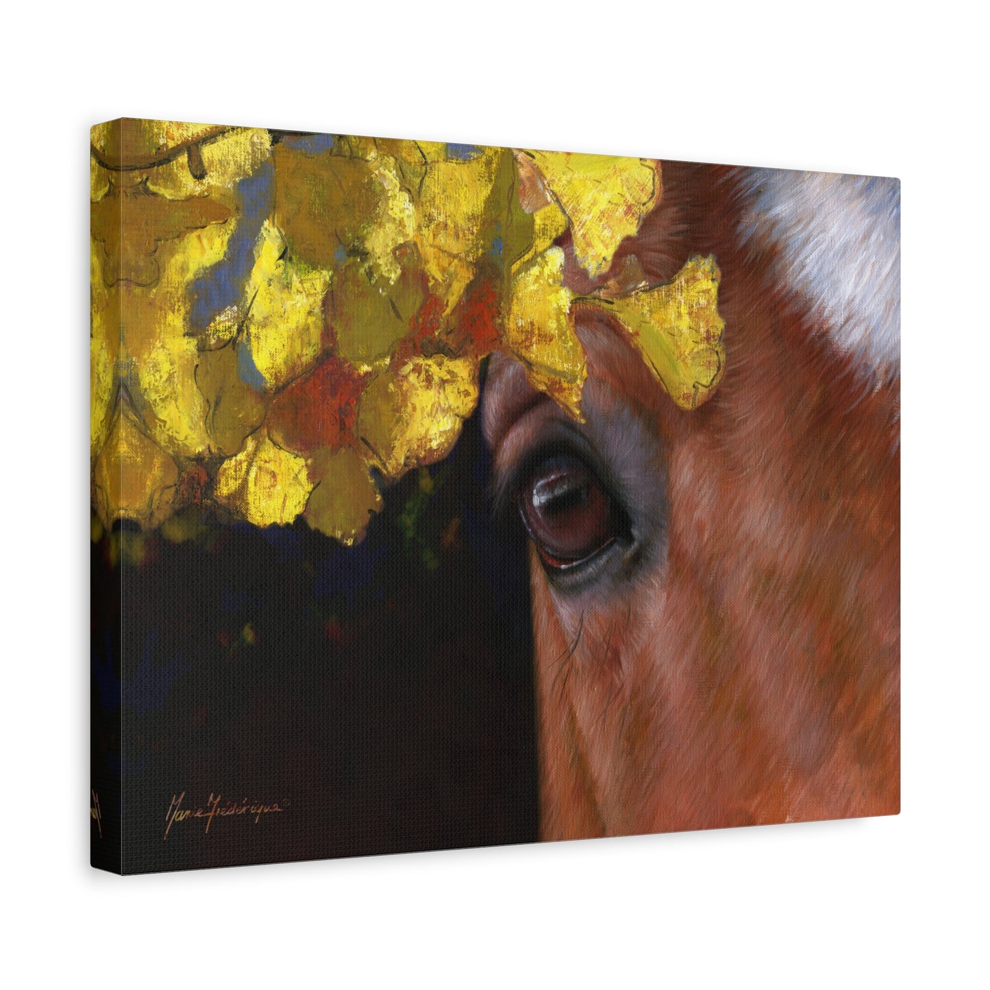 Horse Eye, Autumn Canvas Art by artist Marie Frederique