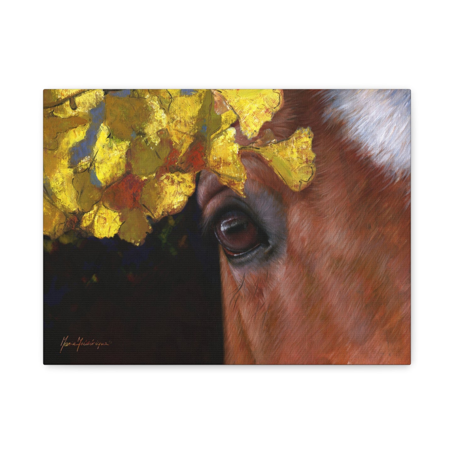 Horse Eye, Autumn Canvas Art by artist Marie Frederique