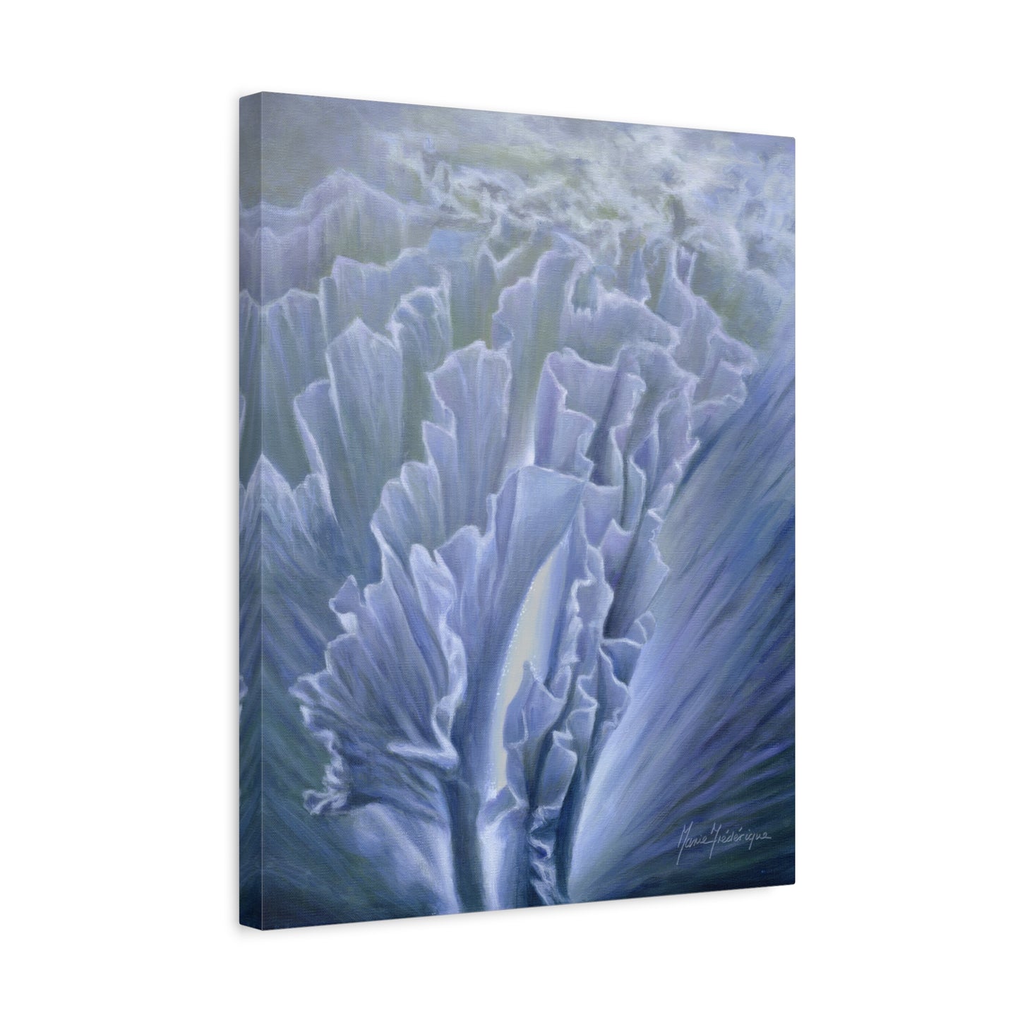 Moonlit ruffles, printed canvas by artist Marie Frederique