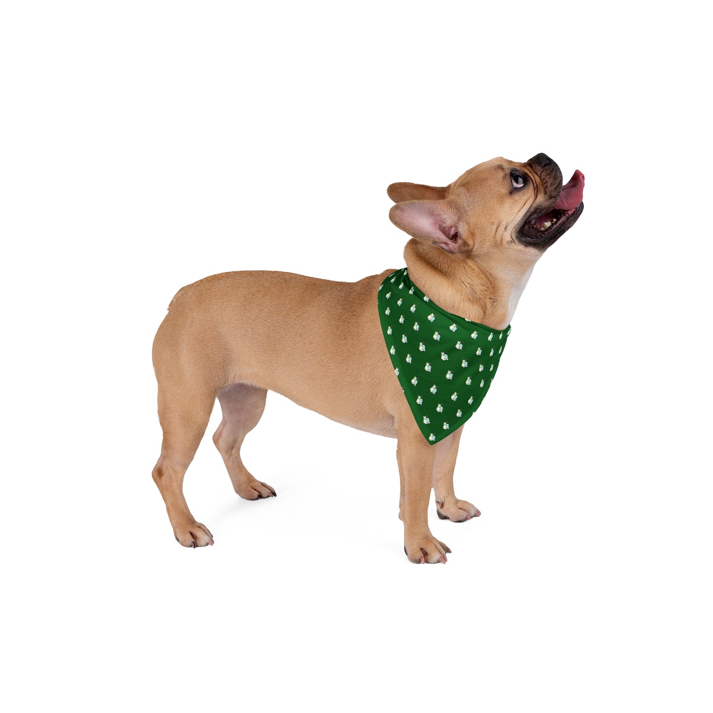 CTS Pet Bandana in green available in 2 sizes By Artist Marie Frederique
