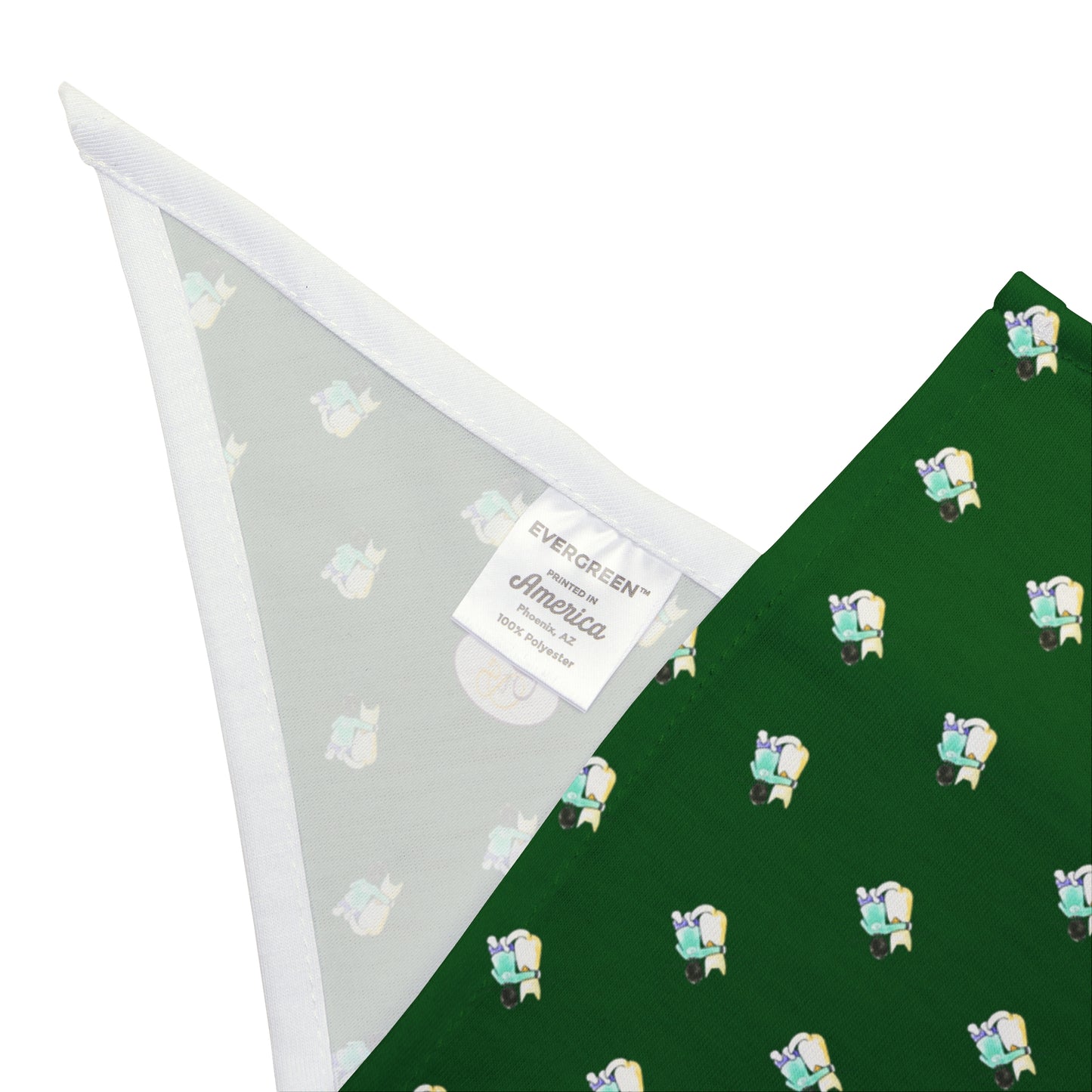 CTS Pet Bandana in green available in 2 sizes By Artist Marie Frederique