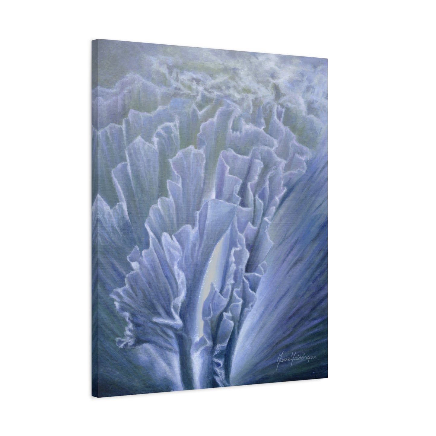 Moonlit ruffles, printed canvas by artist Marie Frederique