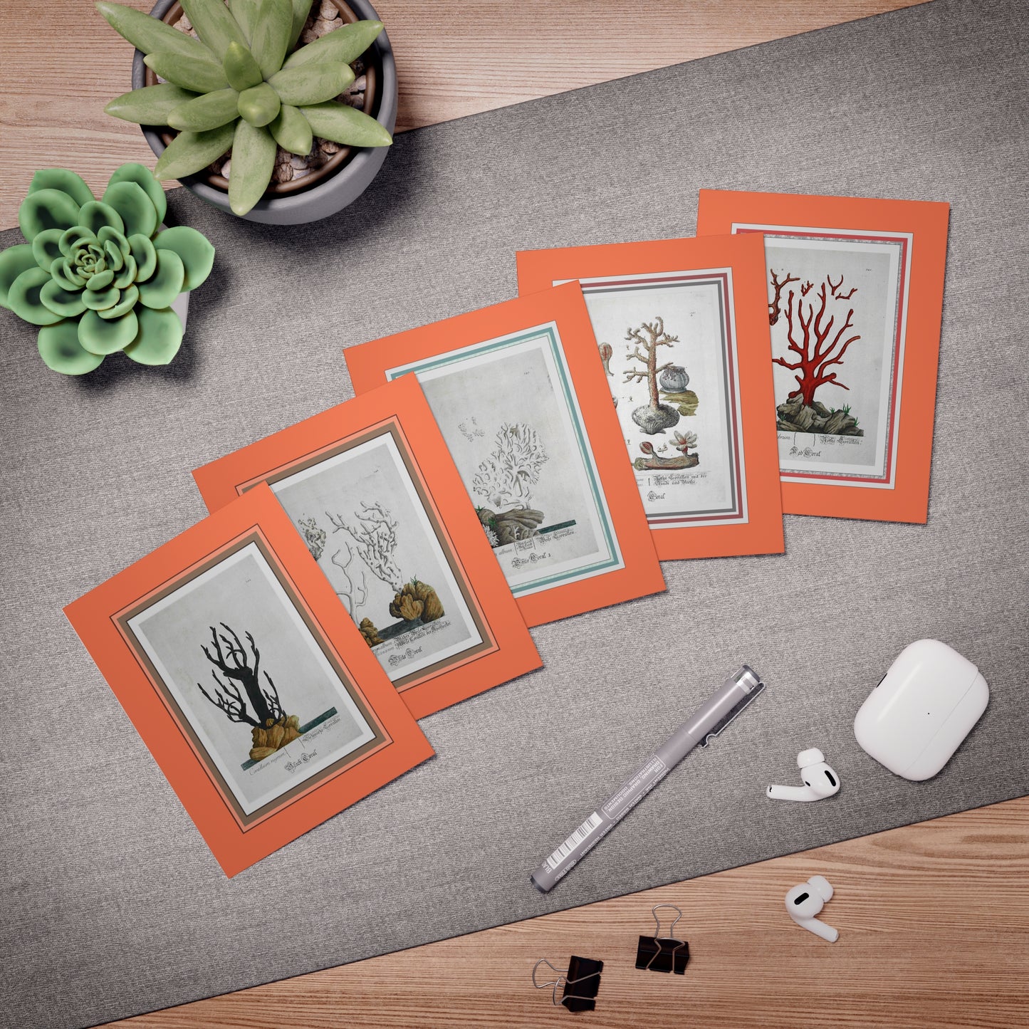 Ocean Coral Classic Etchings - Designer Greeting Cards (5-Pack) by Artist Marie Frederique