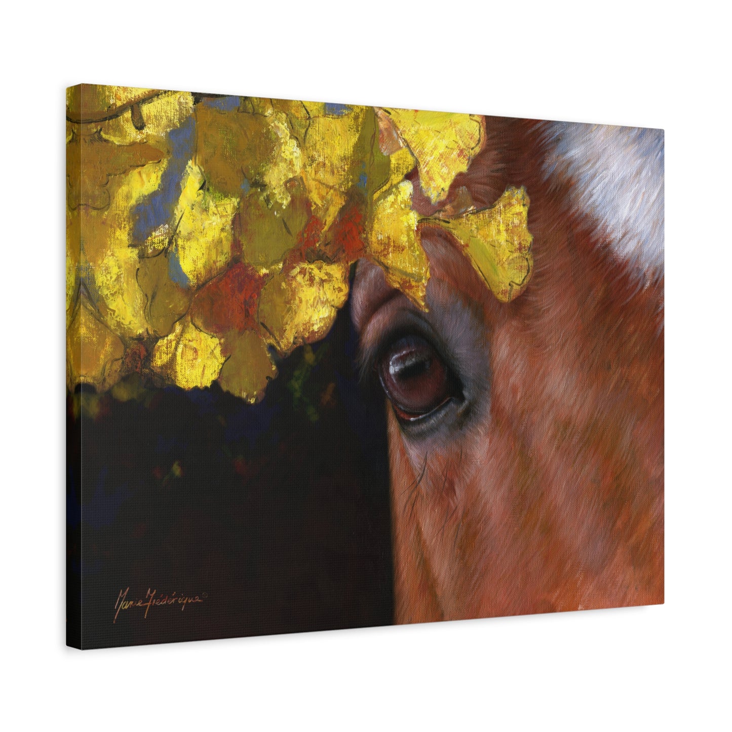 Horse Eye, Autumn Canvas Art by artist Marie Frederique
