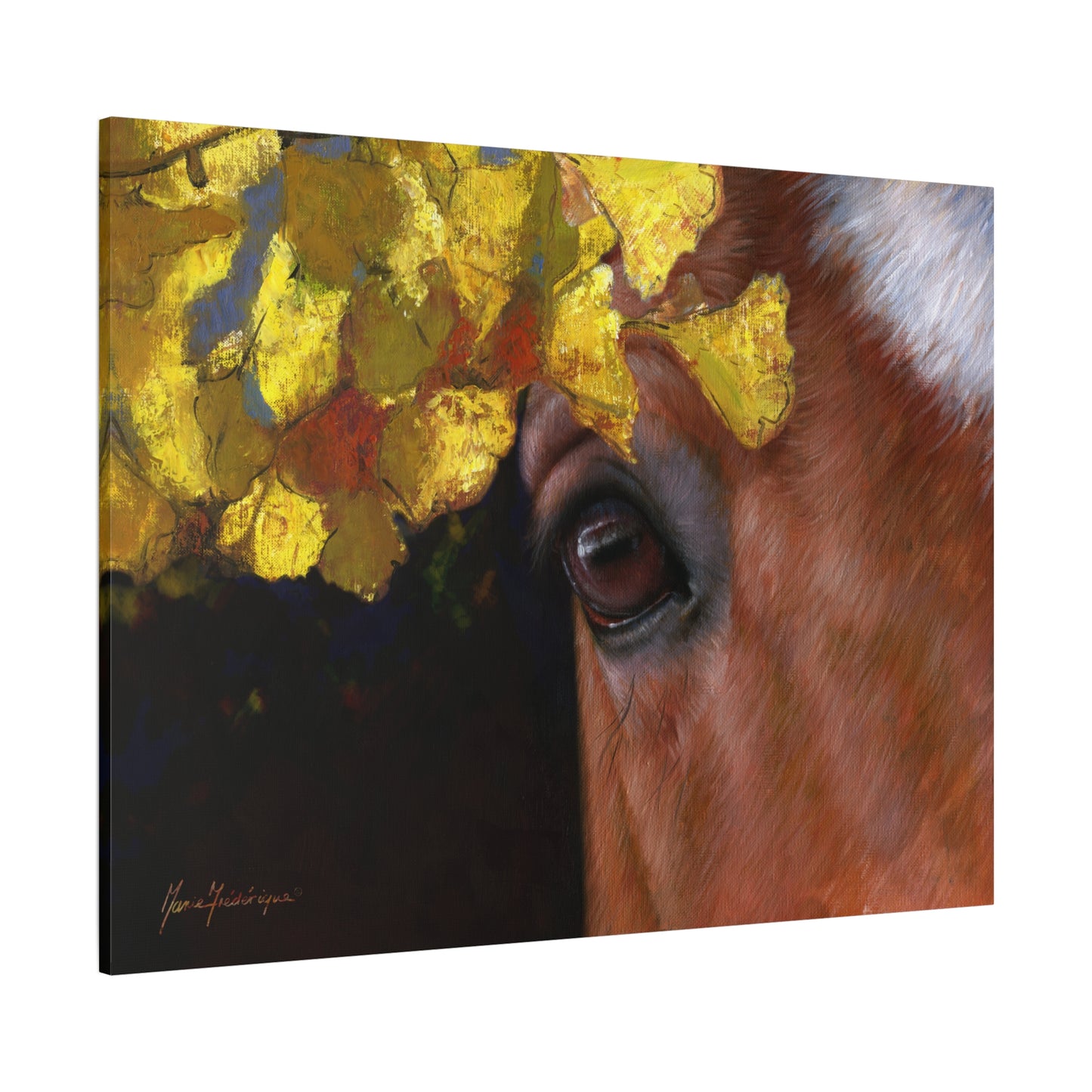 Horse Eye, Autumn Canvas Art by artist Marie Frederique
