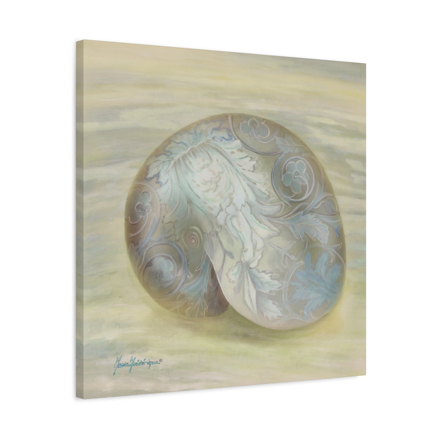 Serene Shell 1 printed Art Canvas by artist Marie Frederique