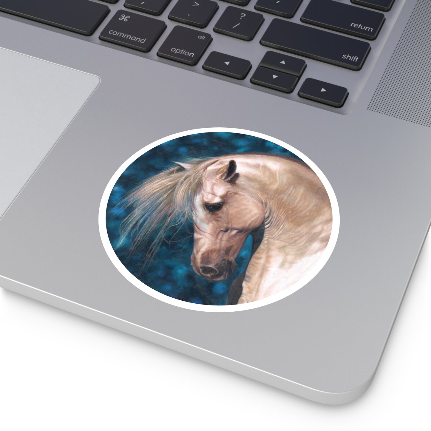 CTS Collection - Blonde and blue Horse round sticker in 5 sizes