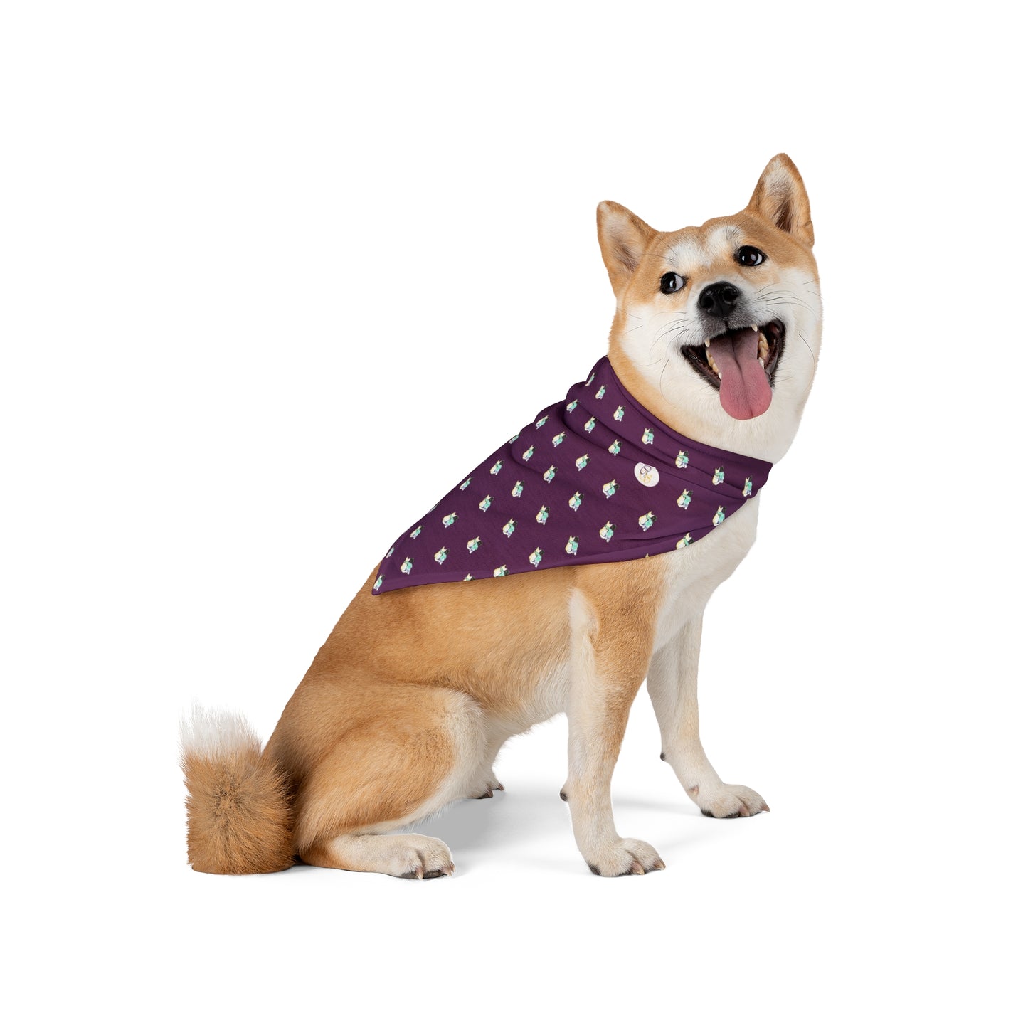 CTS Pet Bandana in purple available in 2 sizes By Artist Marie Frederique