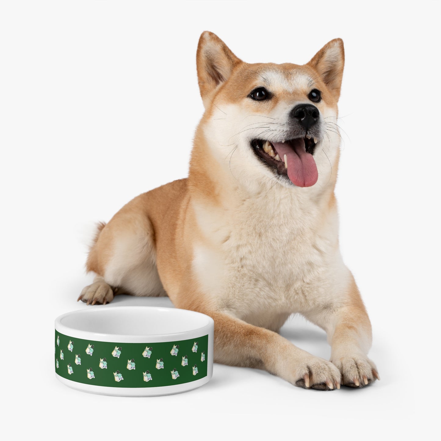 CTS Pet Bowl in green by Artist Marie Frederique