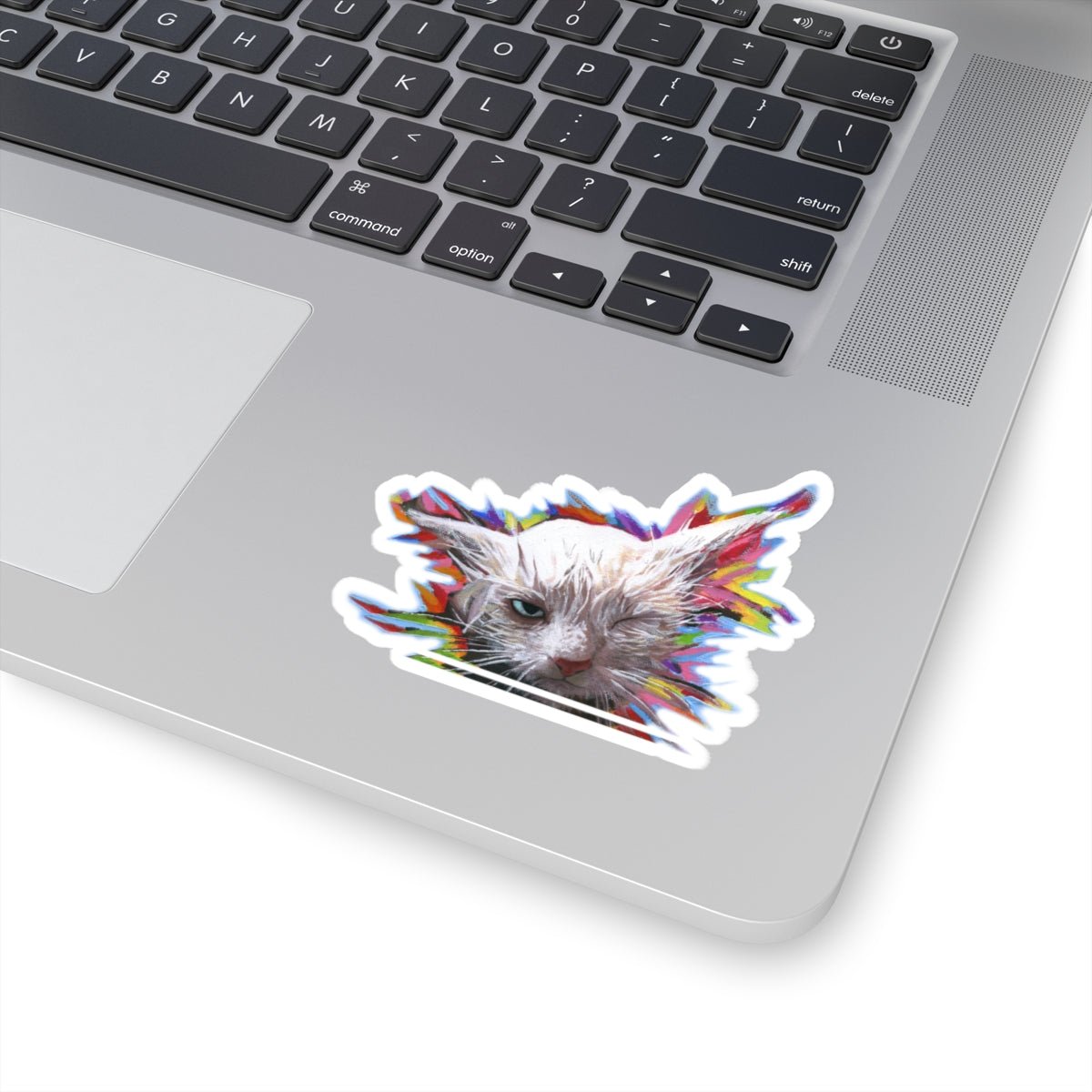 RBF Wet Cat sticker by Artist Marie Frederique in 2 sizes