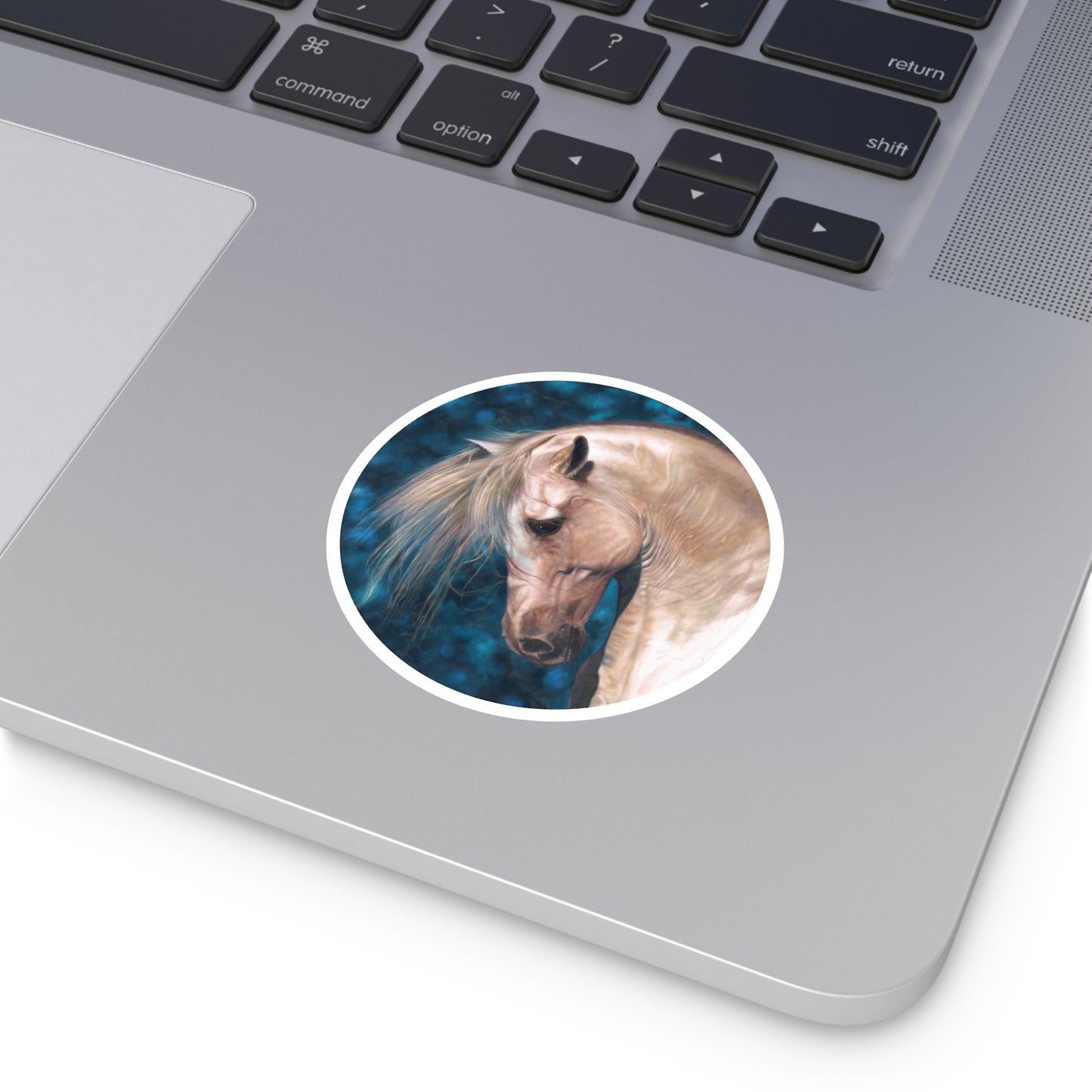 CTS Collection - Blonde and blue Horse round sticker in 5 sizes