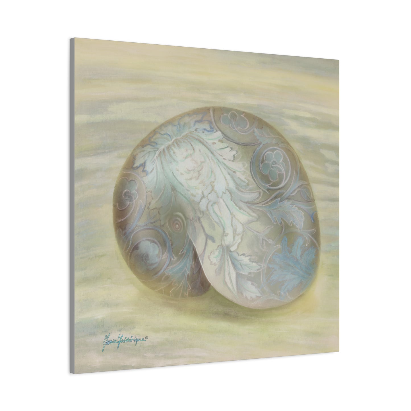 Serene Shell 1 printed Art Canvas by artist Marie Frederique