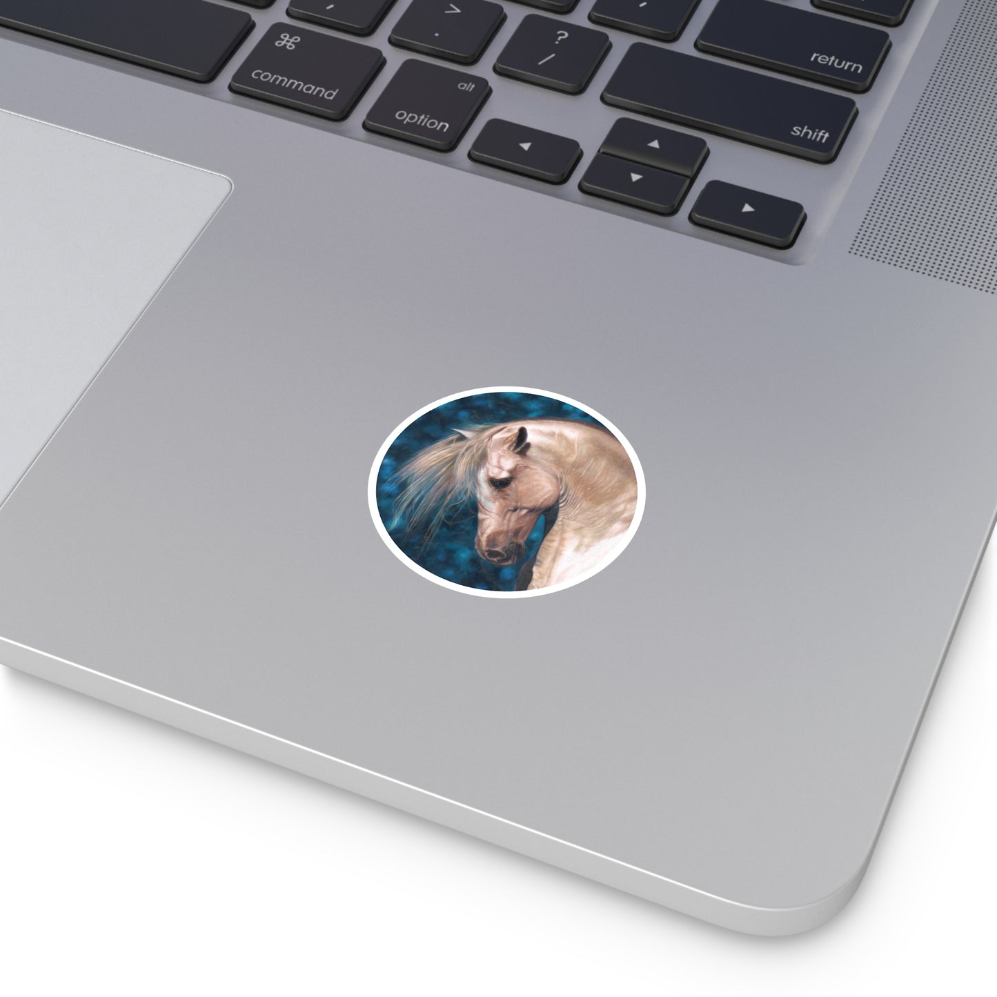 CTS Collection - Blonde and blue Horse round sticker in 5 sizes