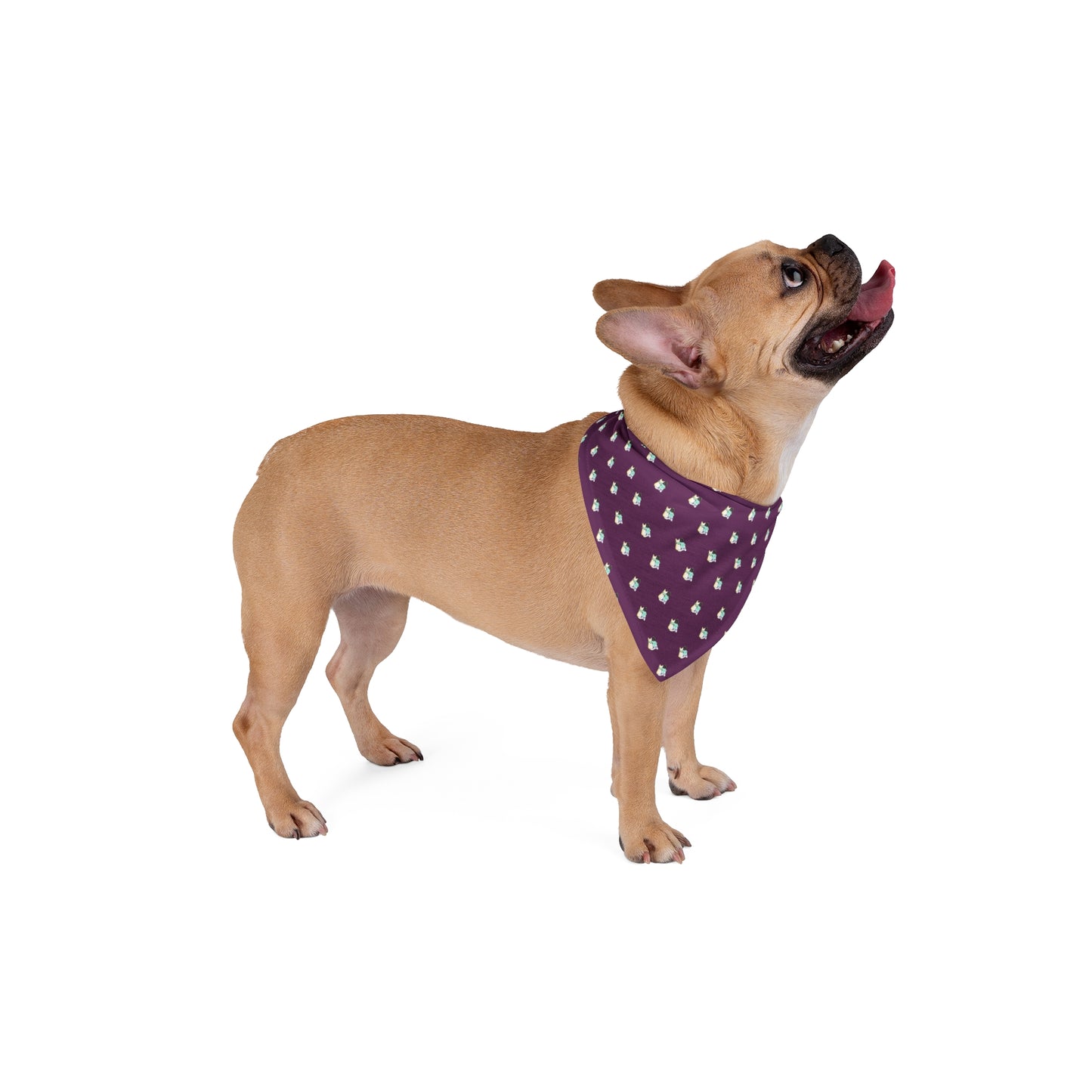 CTS Pet Bandana in purple available in 2 sizes By Artist Marie Frederique