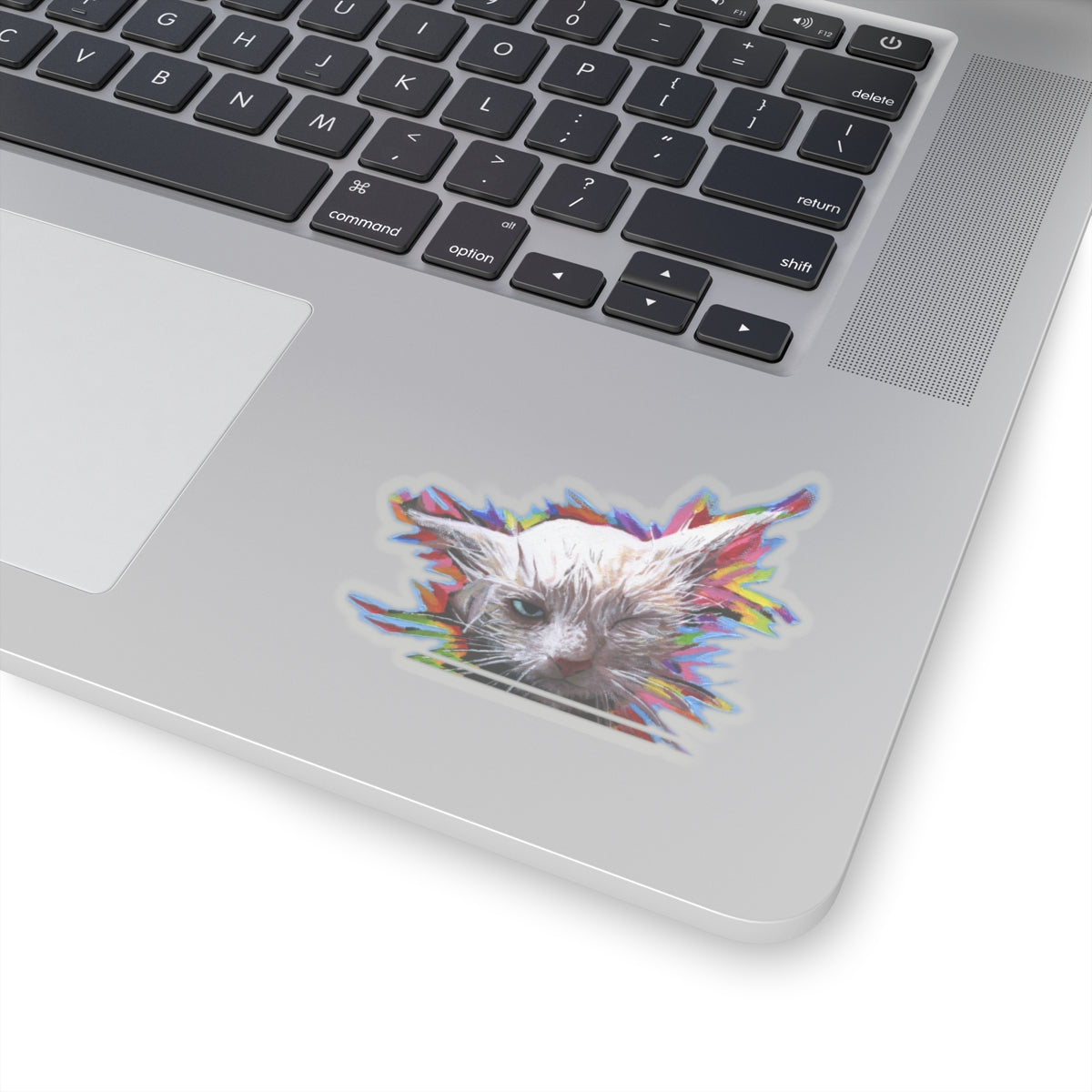 RBF Wet Cat sticker by Artist Marie Frederique in 2 sizes