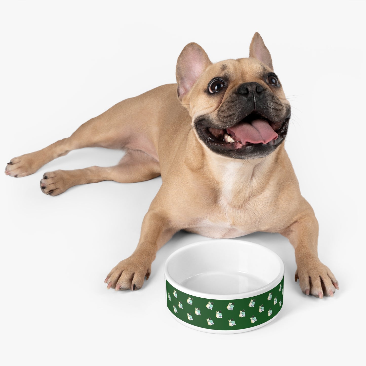 CTS Pet Bowl in green by Artist Marie Frederique